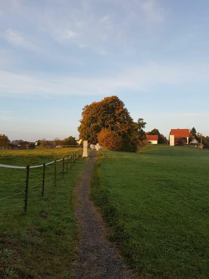 Ferienwohnung Dressler Wolfegg Exterior photo